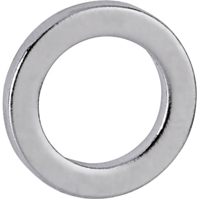 Maul Neodymmagnet (Ø x H) 12 mm x 1.5 mm Ring Silver 10