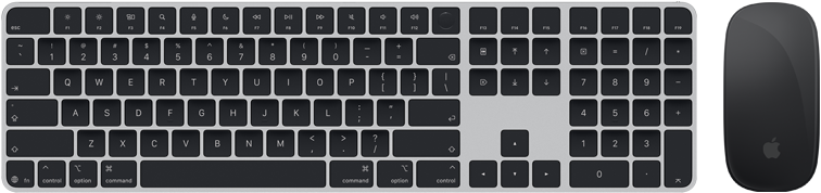 Magic Keyboard med Touch ID och Magic Mouse sedda ovanifrån
