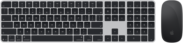 Magic Keyboard med Touch ID och Magic Mouse sedda ovanifrån