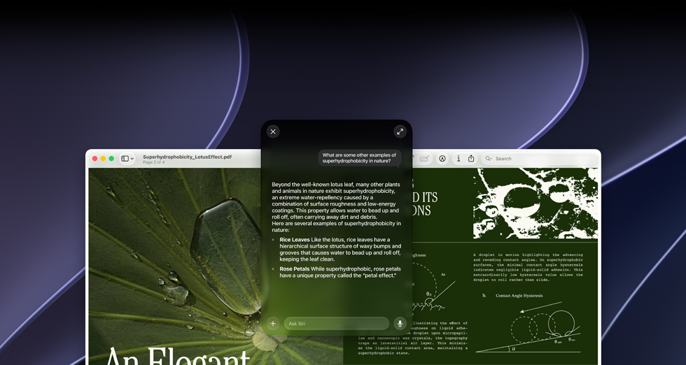 Demonstration av Siri och visuell intelligens, fråga från användaren om ett ämne i en pdf på en Mac-skärm, Vilka andra exempel finns det på superhydrofobicitet i naturen?, Siris svar