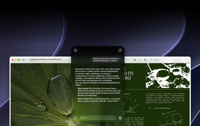 Demonstration av Siri och visuell intelligens, fråga från användaren om ett ämne i en pdf på en Mac-skärm, Vilka andra exempel finns det på superhydrofobicitet i naturen?, Siris svar