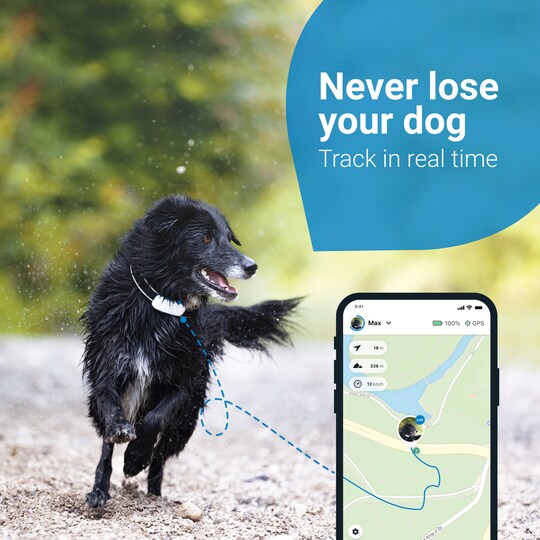 Tractive Dog LTE GPS-tracker, - Elgiganten