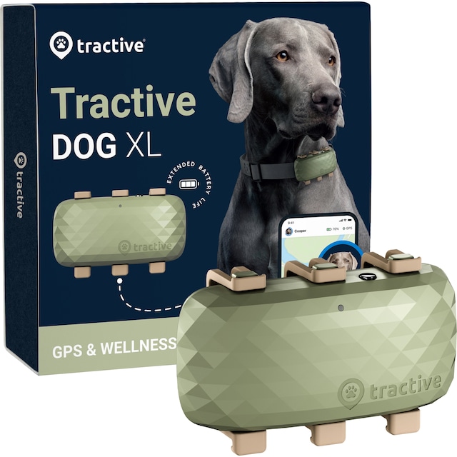 Tractive DOG XL GPS tracker hund (grön)