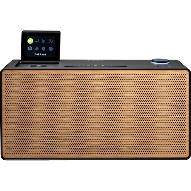 Pure Evoke Home Wood Edition digitalradio (svart)