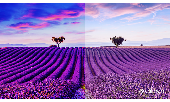 Calman-comparing field of lavender with and without calibration