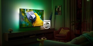 4K LED Ambilight 55PUS8108/12 Philips sur notre Webshop - Steylemans